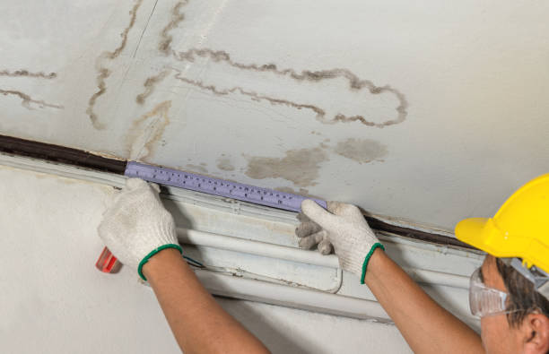 Reliable Water Damage Repair contractor in Muse, PA by Hirex Water Damage